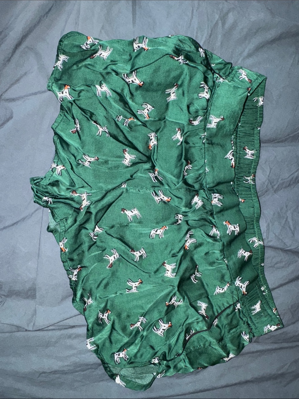 Anthropologie Green Dog-Print Pajama Shorts